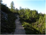 La Crusc - Lavarella (western summit)